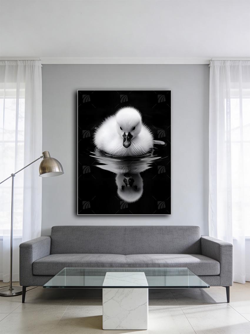 Schwanenküken mit Spiegelung Tiere Wandbild – Detailansicht